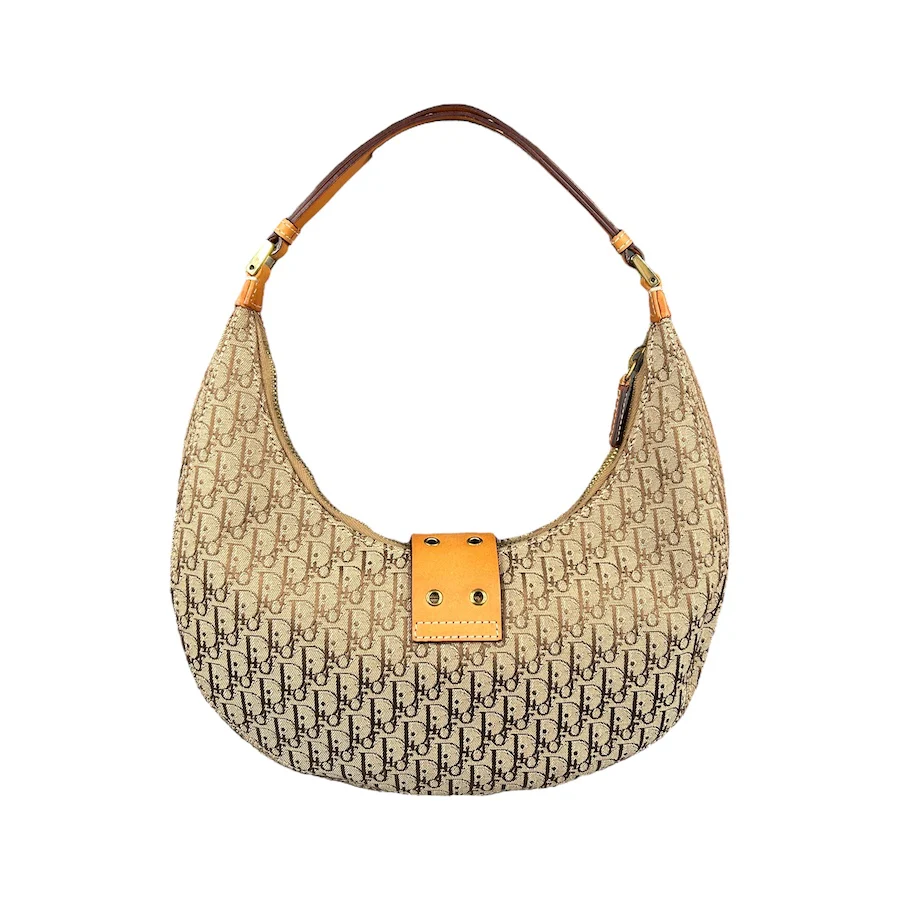 DIOR 2003 TROTTER CANVAS CRESCENT BAG 93UIU - Image 2